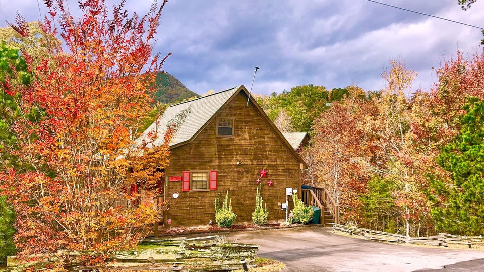 Blackberry Patch  Fall colors