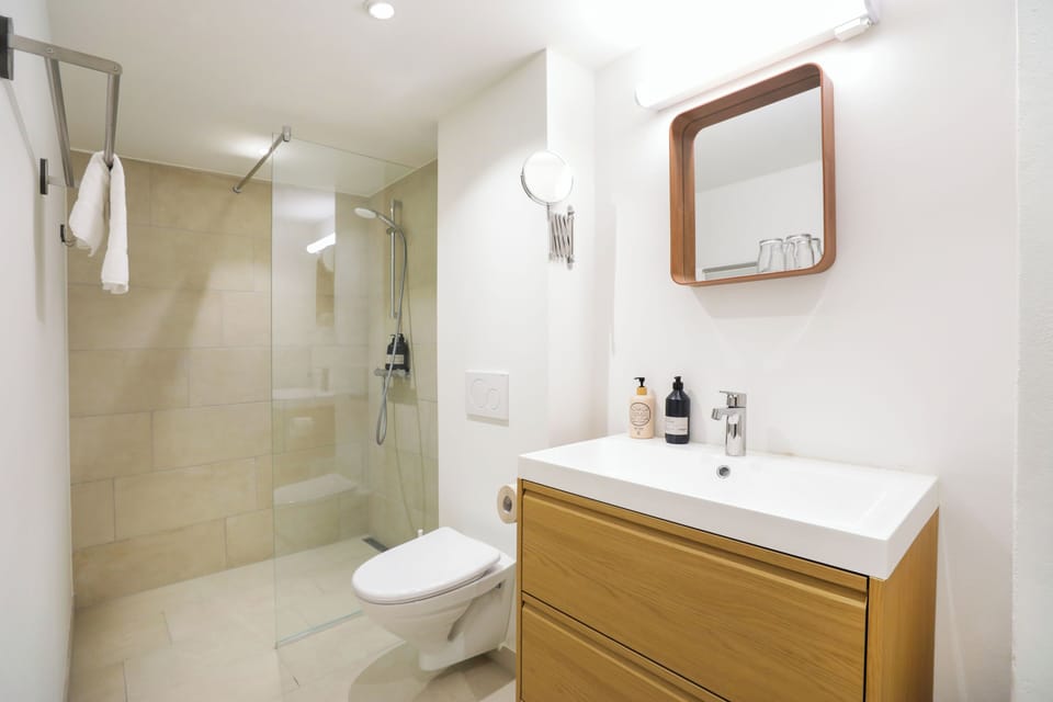 Double Room | Bathroom | Shower, hair dryer, towels, soap