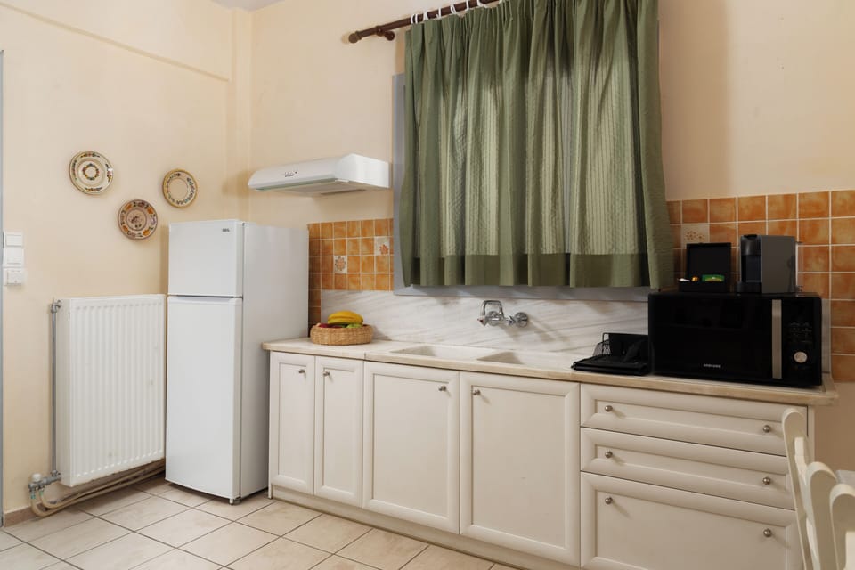 Panoramic Apartment, Sea Facing (Panoramic Sea and Village View) | Private kitchen | Fridge, stovetop, espresso maker, electric kettle