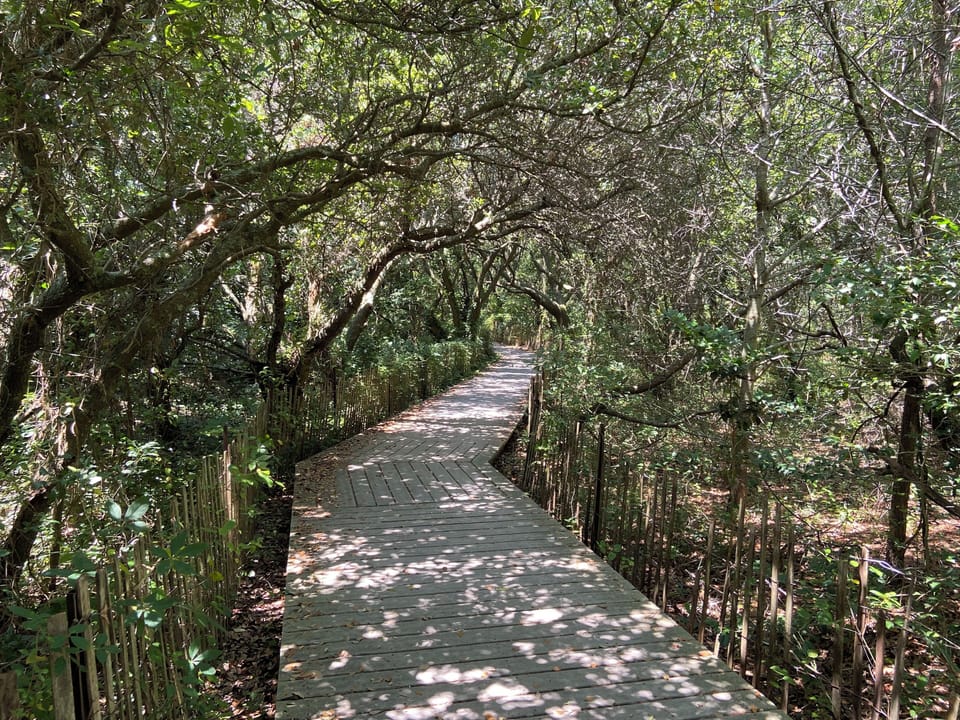 Live Oak Canopy short walk to Beach