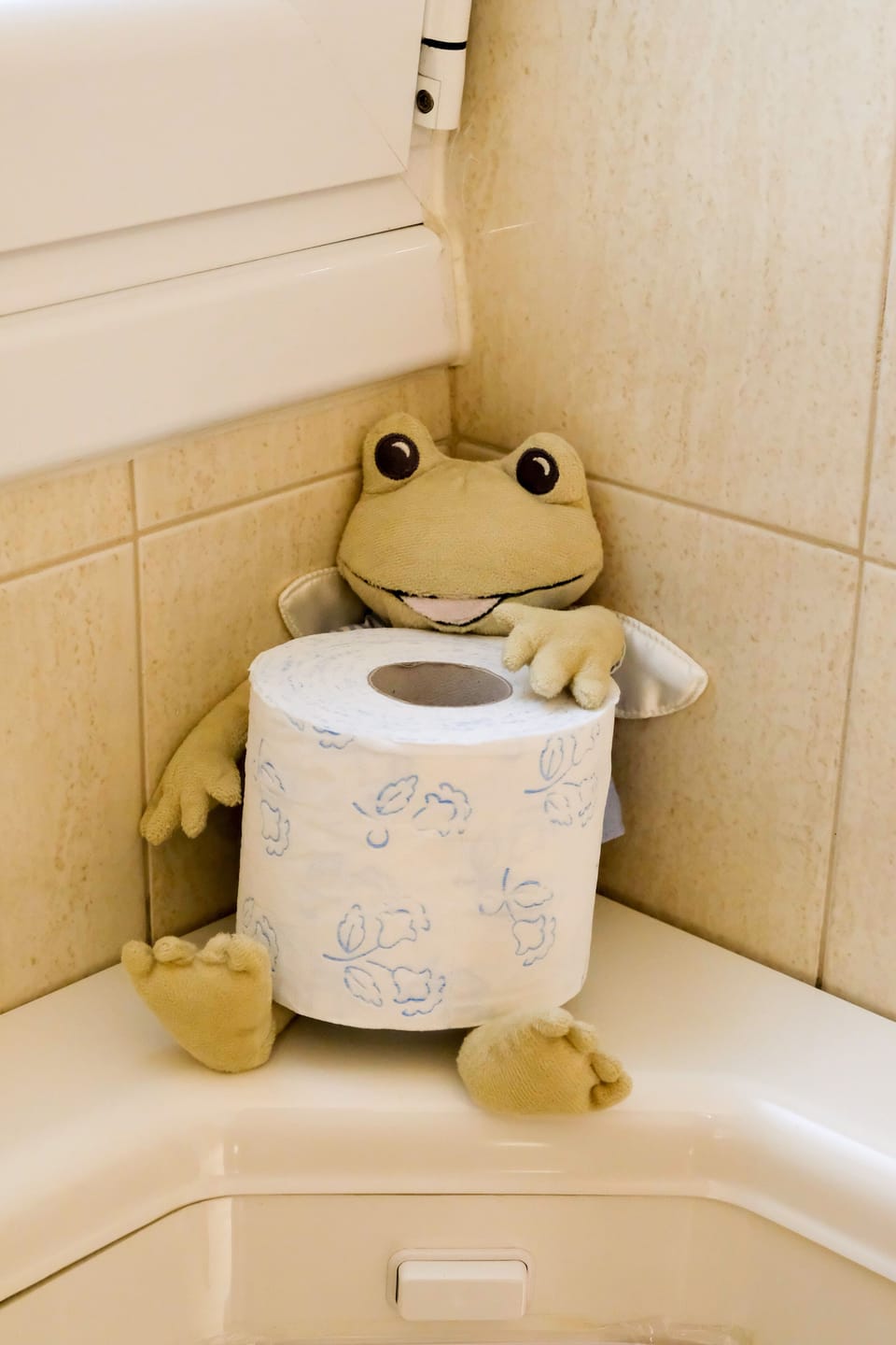   Froggy, holding your extra toilet paper in the bathroom.