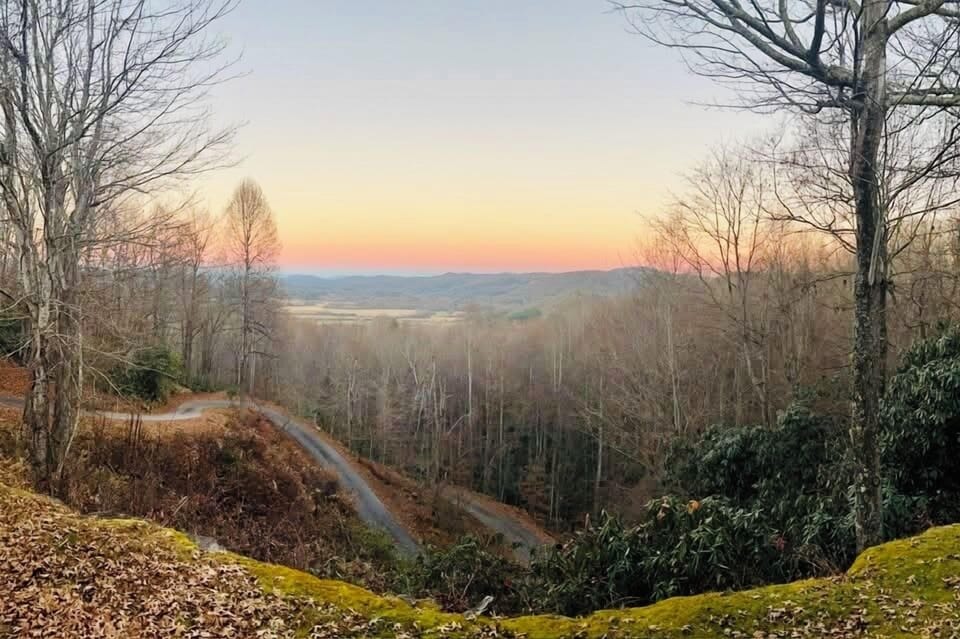 View from front porch