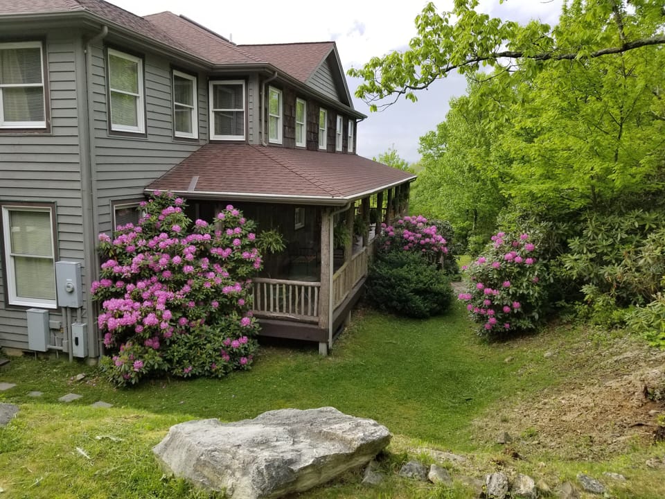 Springtime at Whispering Hills with rhododendrons blooming.