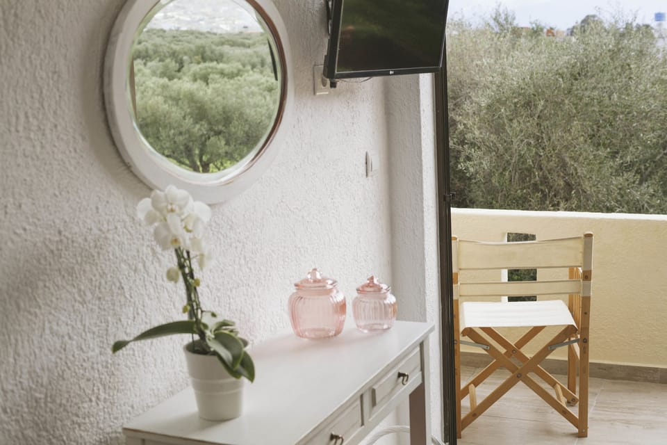 28-inch flat-screen TV with satellite channels, LED TV, toys