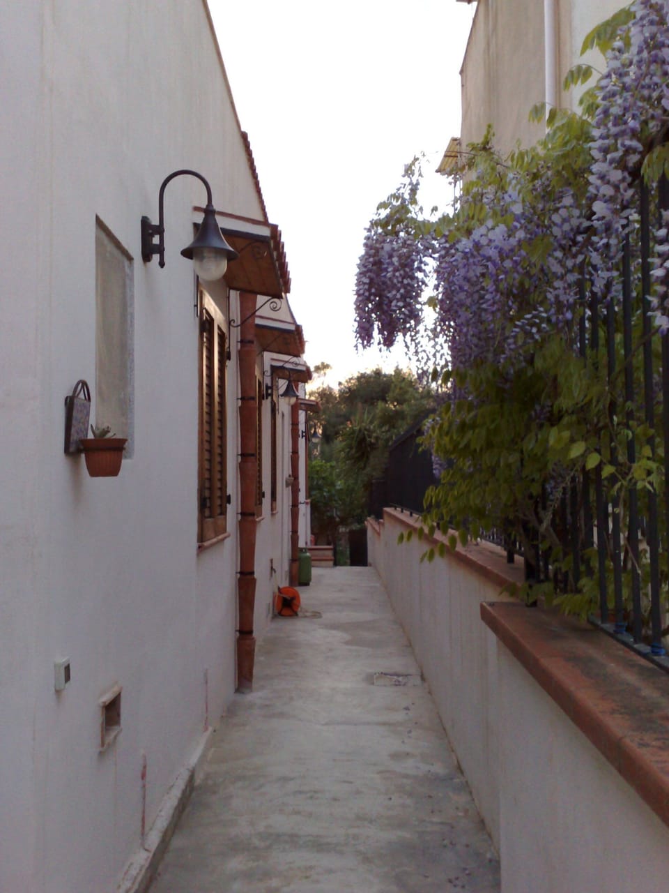 EXTERNAL