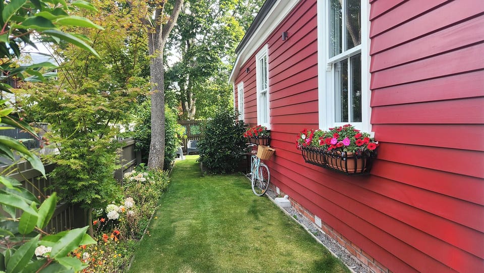 Green lush garden surrounds
