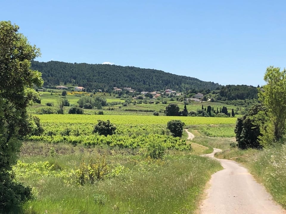 Immediate Surroundings [summer] (<1 km)