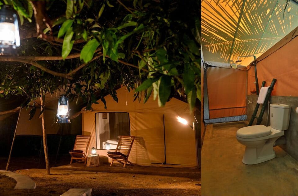 Basic Tent