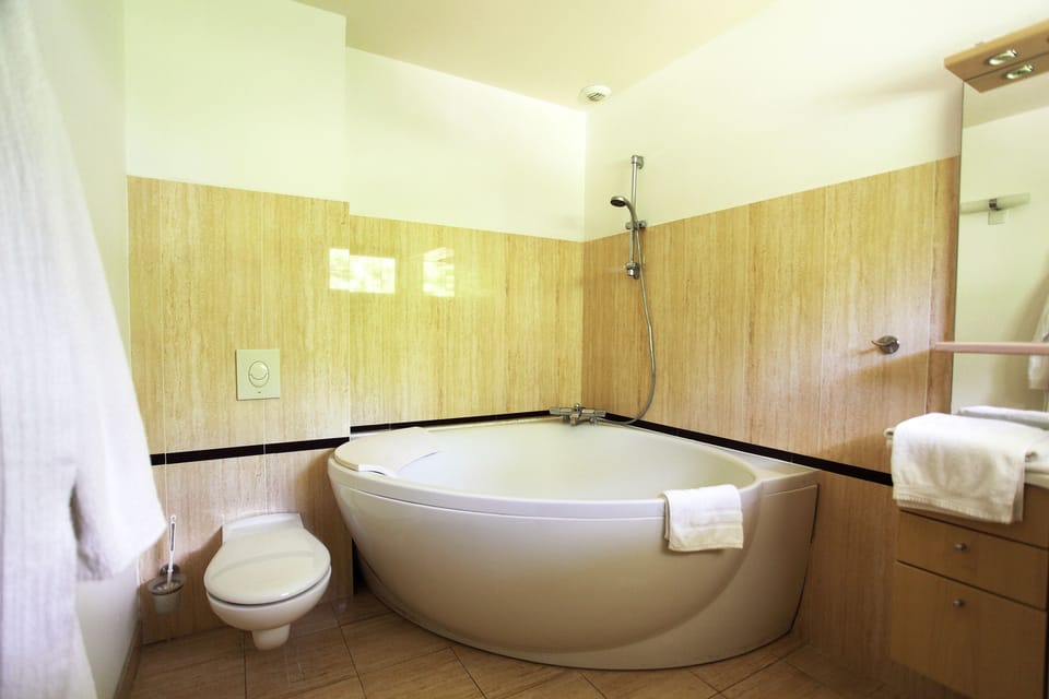 Luxury Suite | Bathroom | Free toiletries, hair dryer, towels