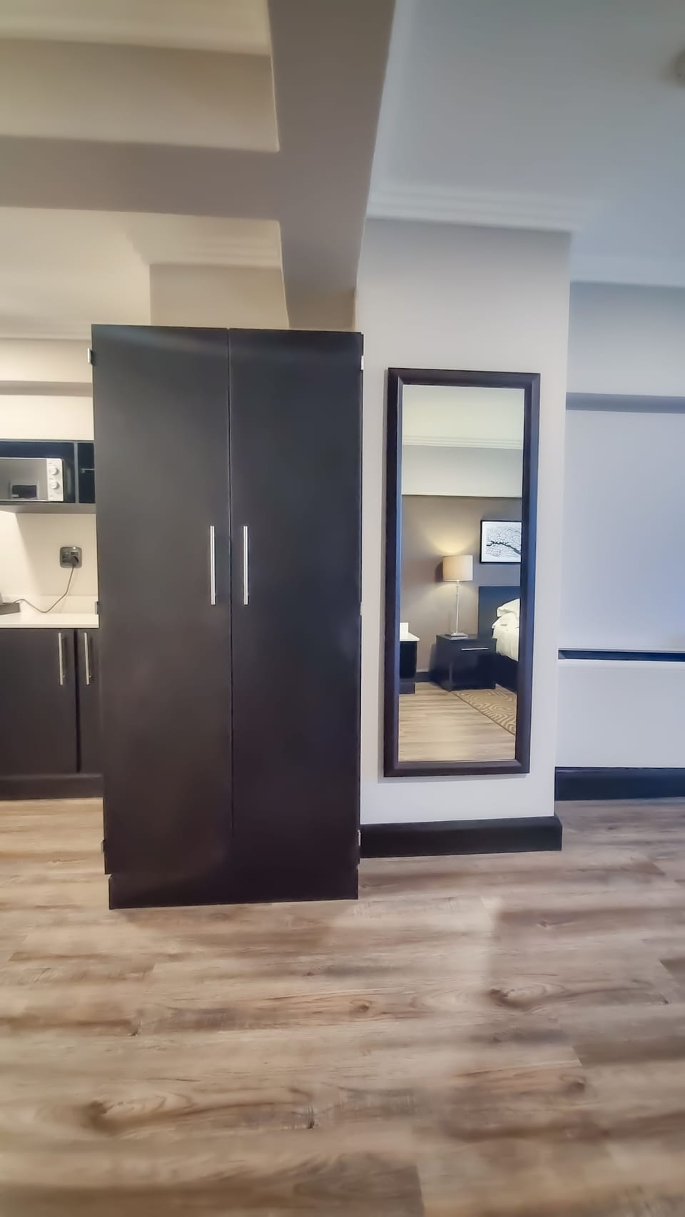 Deluxe King 2 Sleeper Shower | Private kitchen | Fridge, microwave, coffee/tea maker, electric kettle