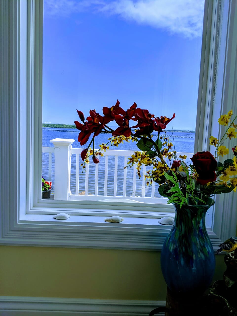 View from property