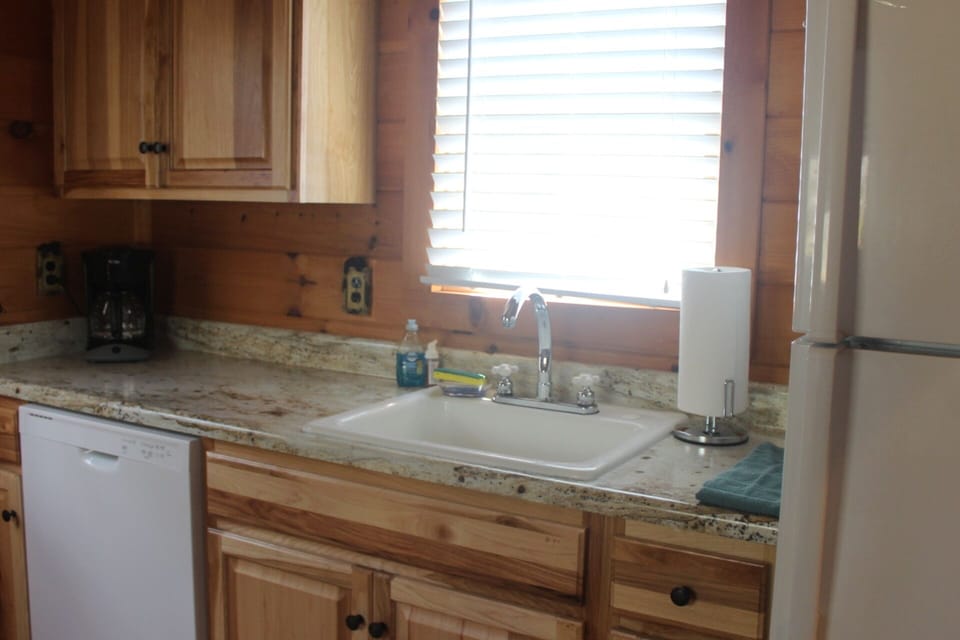 Kitchen / Dishwasher