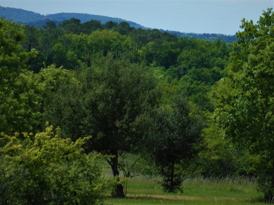 Views from gardens