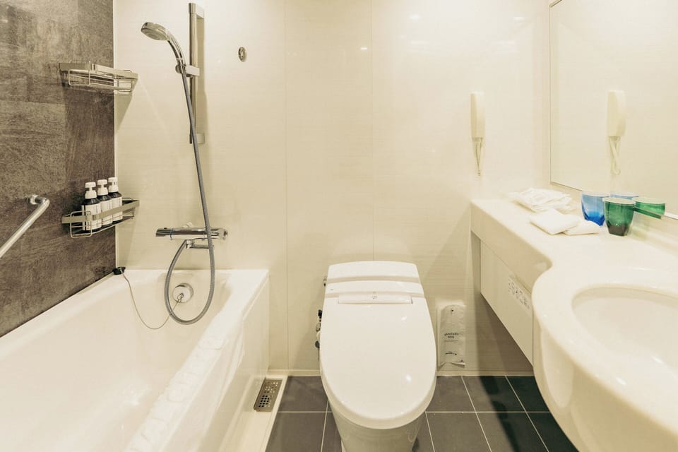 Combined shower/tub, free toiletries, hair dryer, slippers