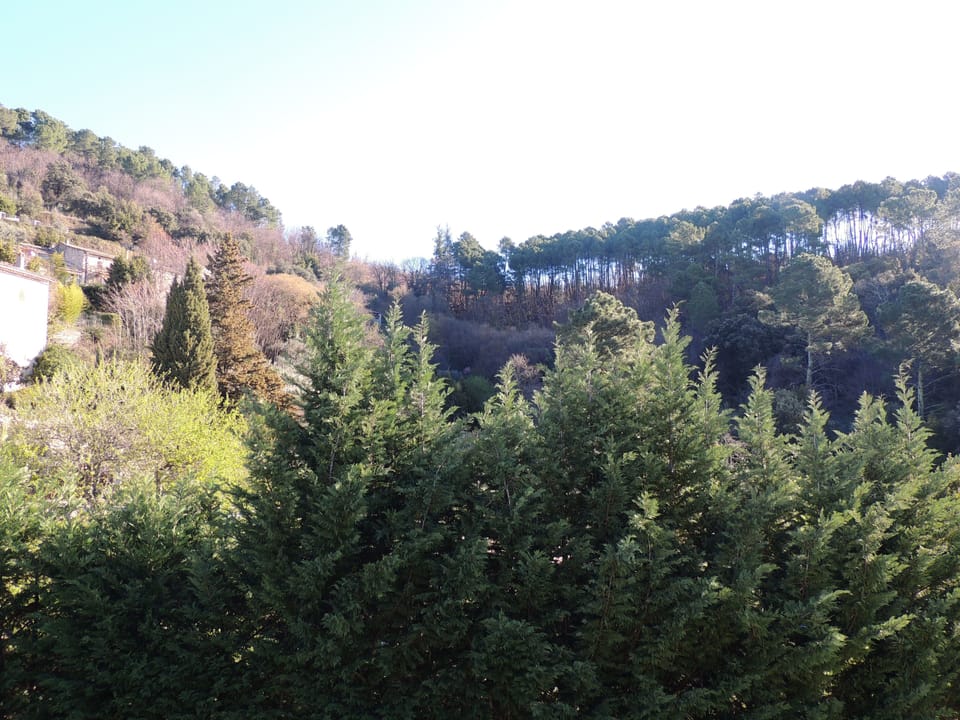 Land view from property
