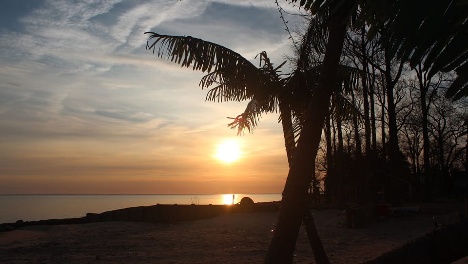 Sunset View