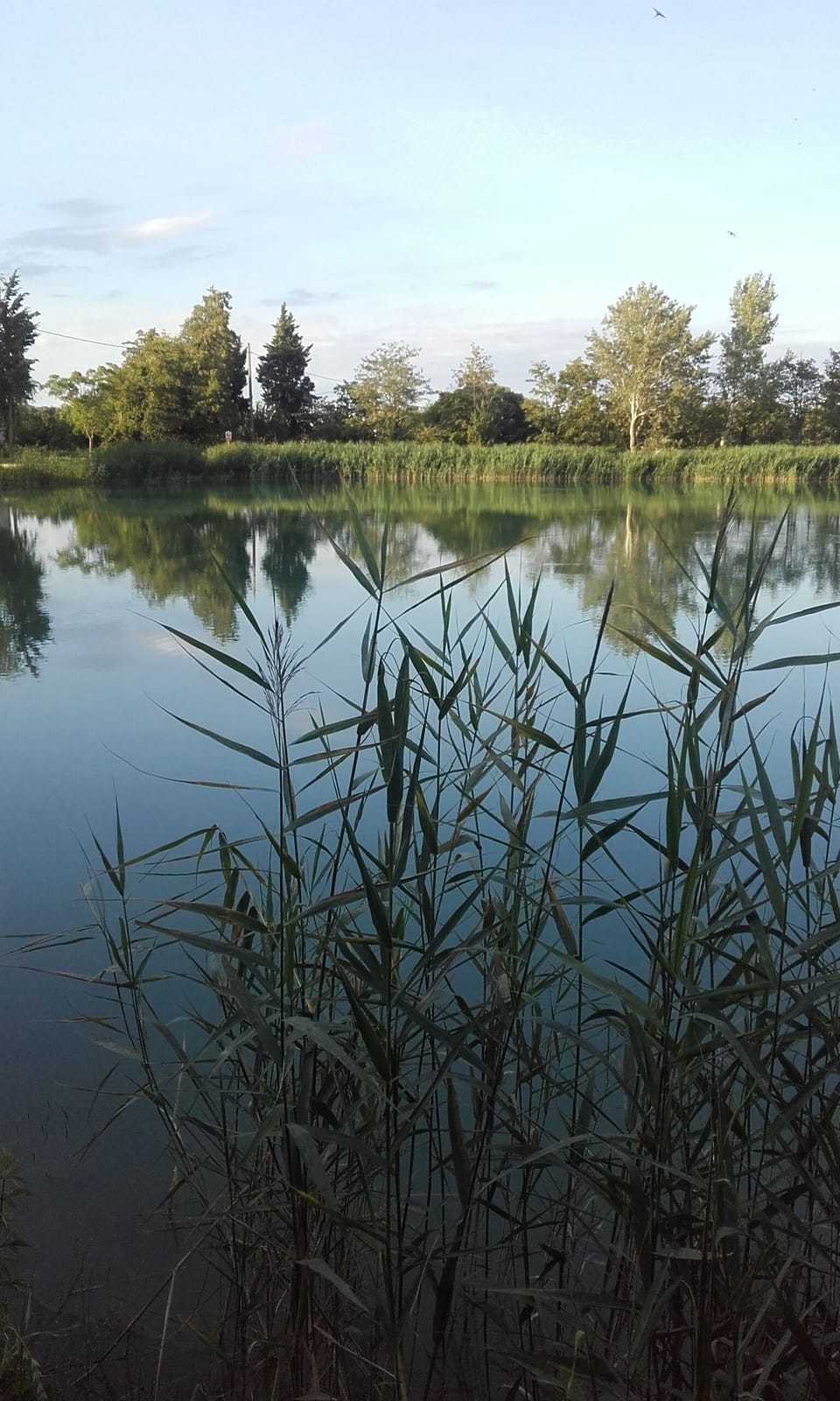 Lake