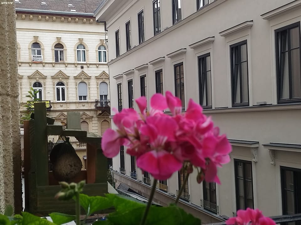 the balcony 