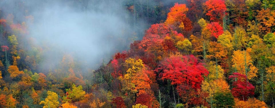 Join us this Fall at "Pedaller's Rest"