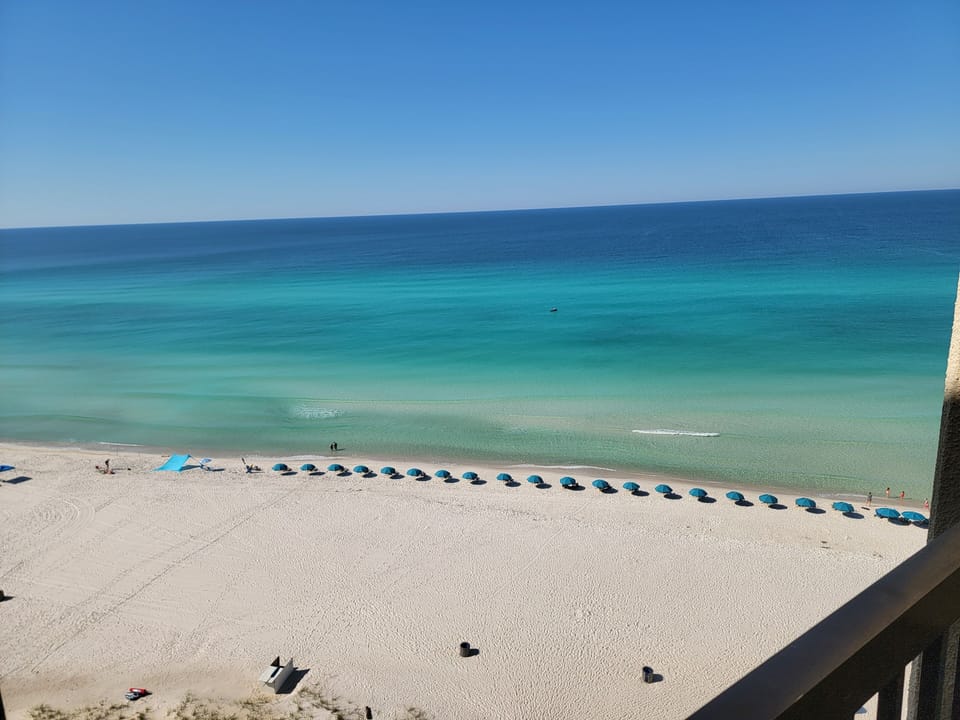 Dolphin Views that are head and shoulders above the rest!