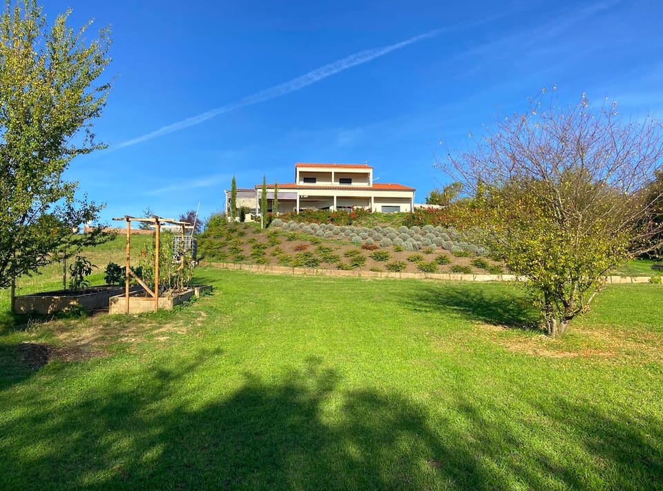 The house from below