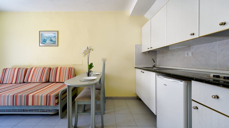 Fridge, stovetop, cookware/dishes/utensils