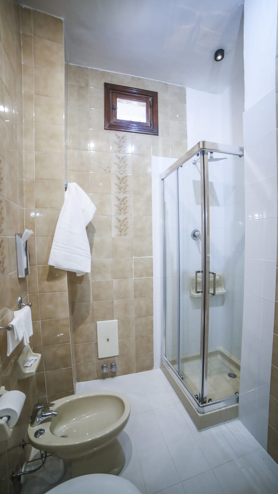 Shower, free toiletries, hair dryer, bidet