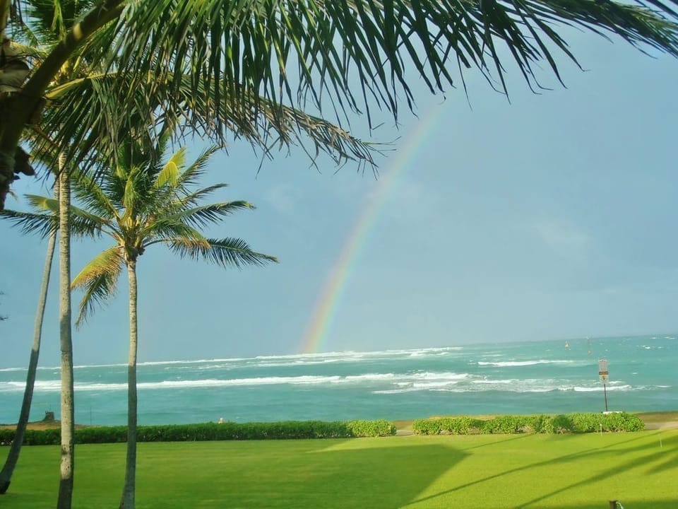 Expect a lot of these.  Yes this is your view from the lanai!