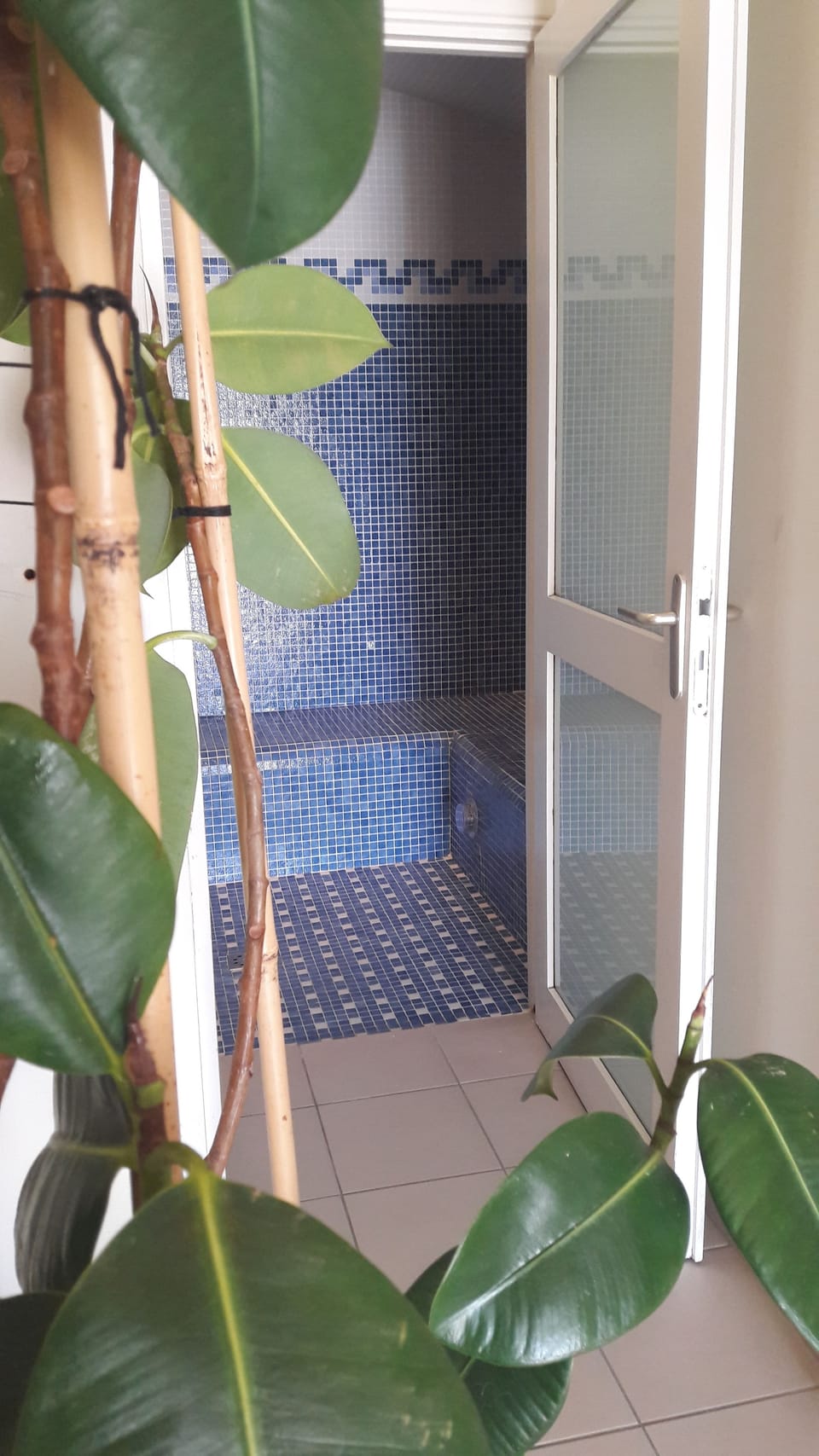 Turkish bath, body treatments, aromatherapy, massages