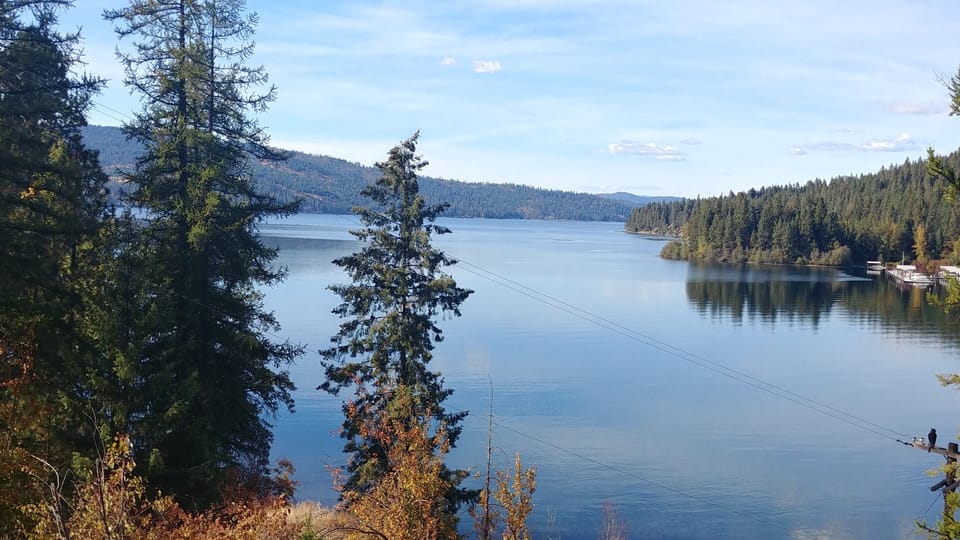 View from deck