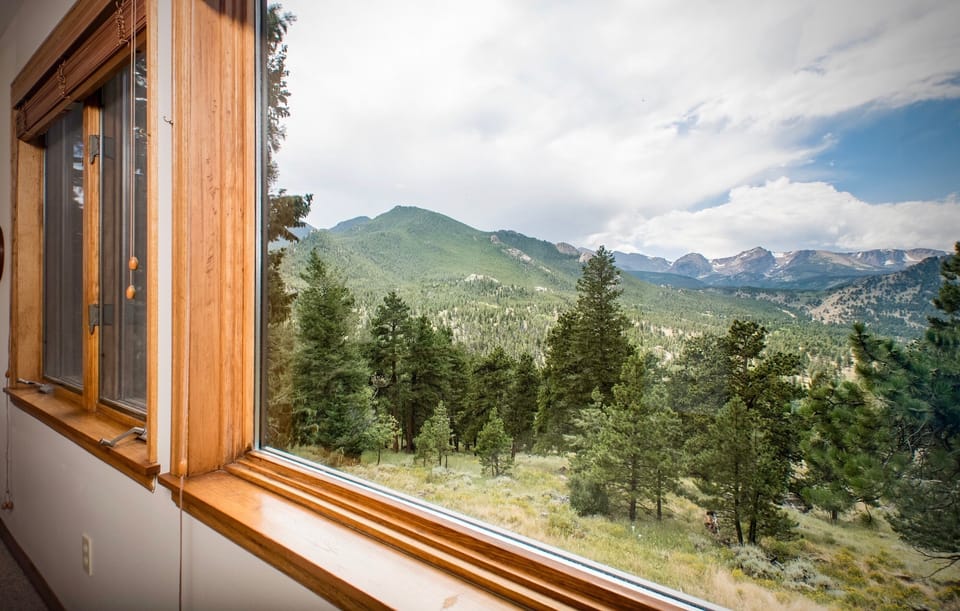 Home Decor, Tree, Fir, Window, Outdoors
