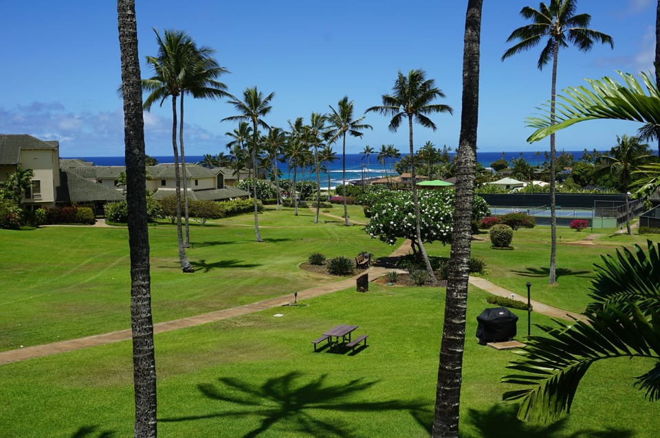 A morning view towards the ocean from Kahala 623