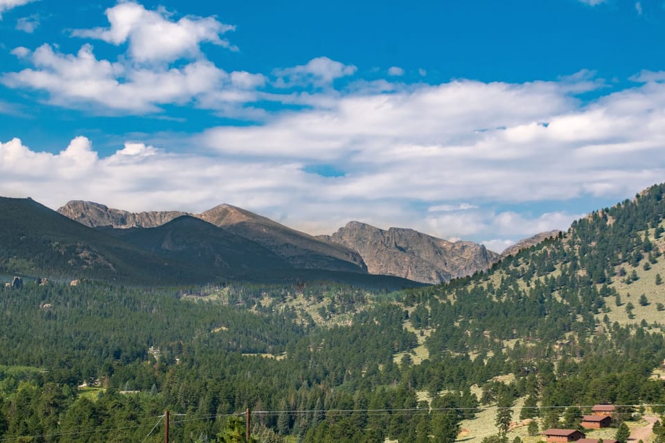 Tree, Nature, Fir, Outdoors, Mountain