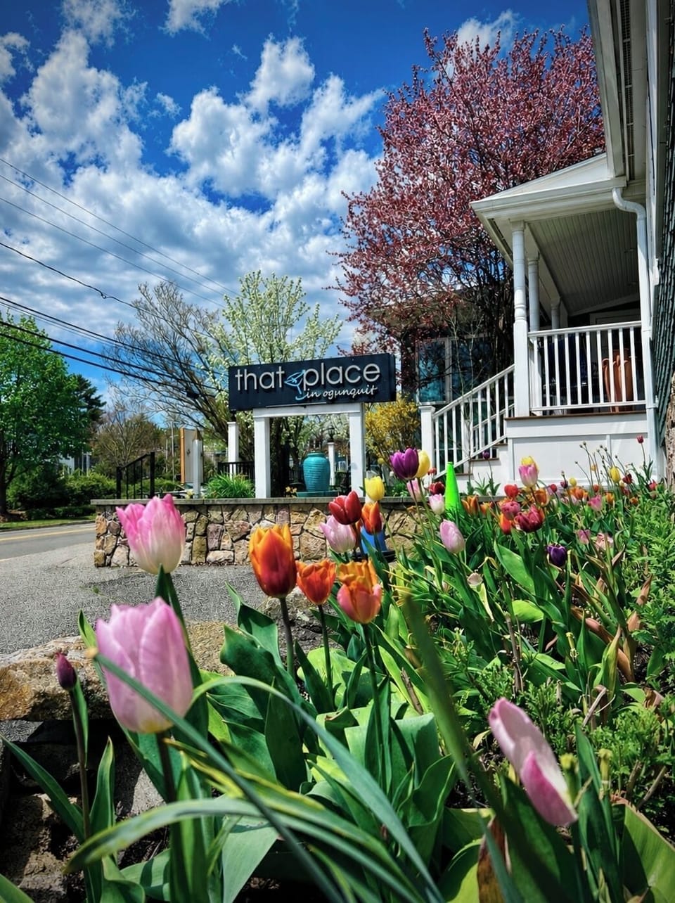 Next door to the fabulous That Place in Ogunquit restaurant
