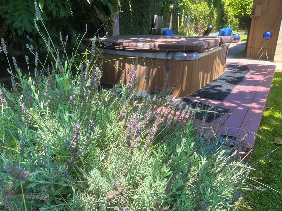 Relax in your private spa, surrounded by the smell of luxurious lavender.