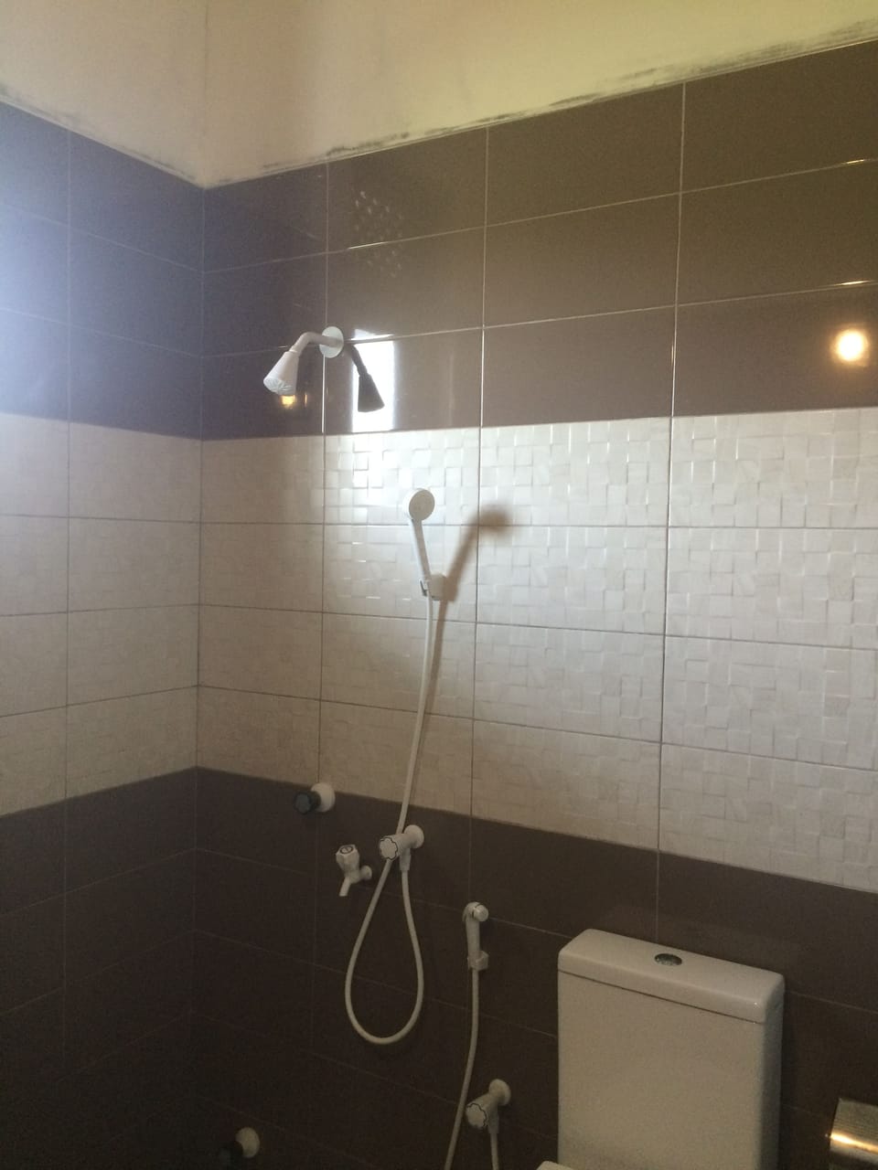 Deluxe Triple Room, Garden View | Bathroom | Shower, rainfall showerhead