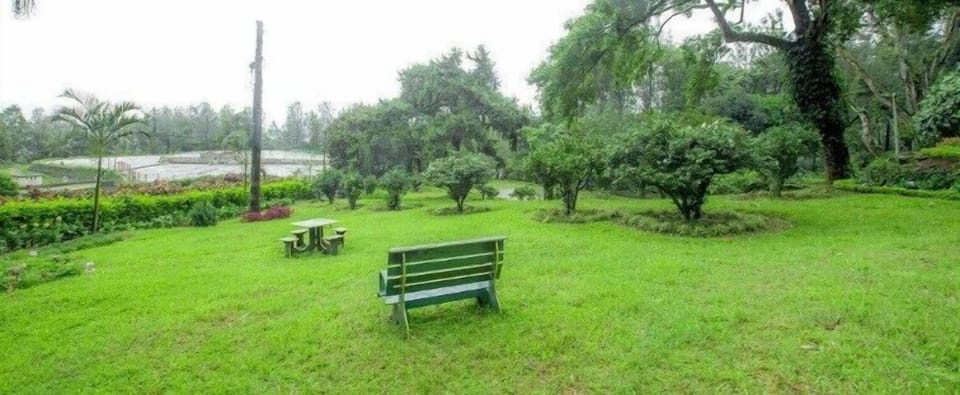 Children's play area - outdoor
