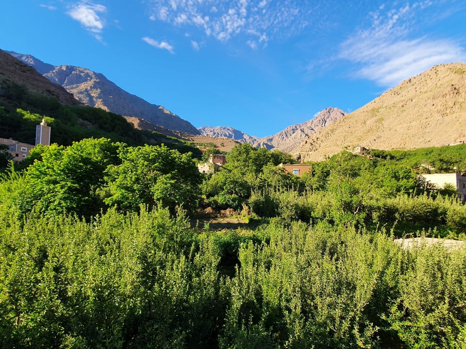 View from property