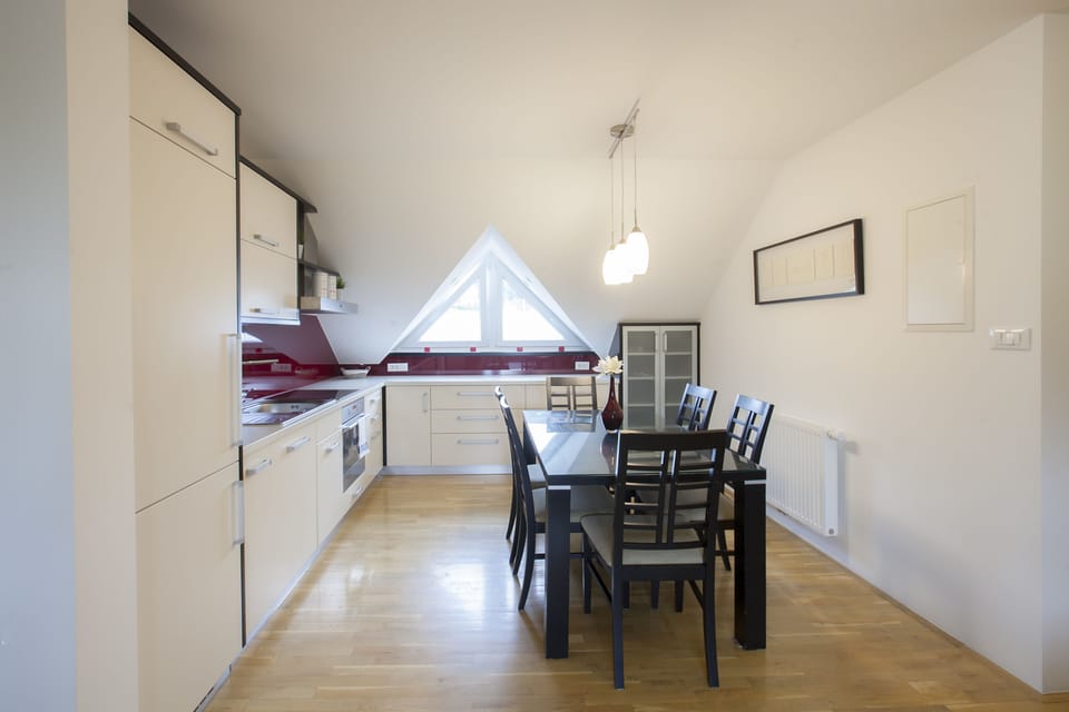Exclusive Apartment | Private kitchen | Fridge, microwave, oven, stovetop