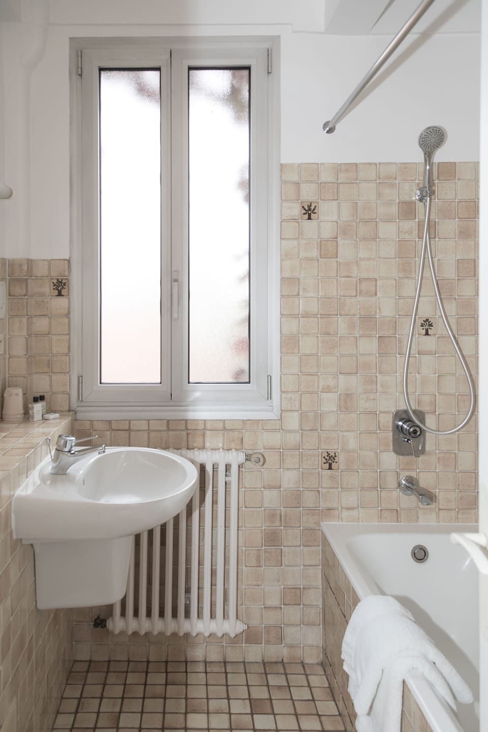 Towels, soap, shampoo, toilet paper