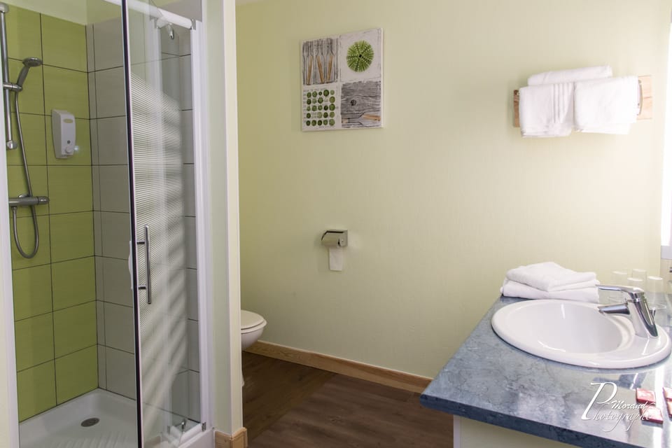 Classic Twin Room, Private Bathroom, Park View | Bathroom | Rainfall showerhead, hair dryer, towels