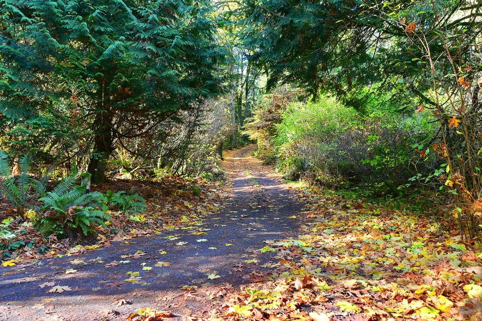 A short country lane takes you to the beachfront bungalow!