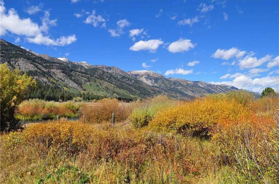 Back of Berry Patch View