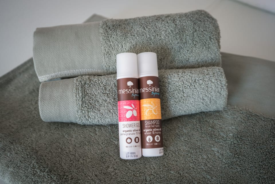 Panoramic Apartment | Bathroom amenities | Shower, free toiletries, hair dryer, slippers