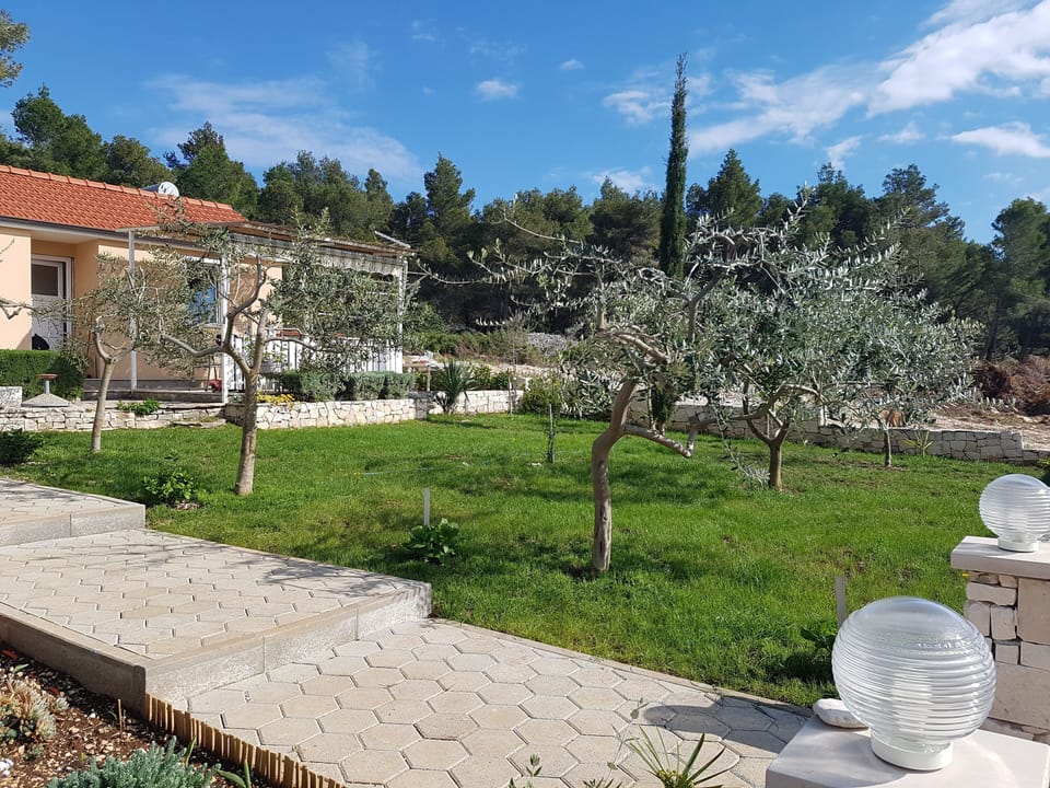 House and surroundings