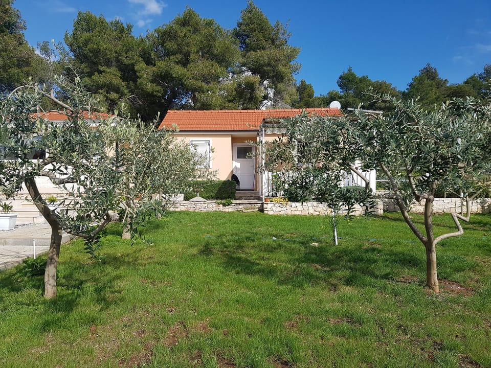 House and surroundings