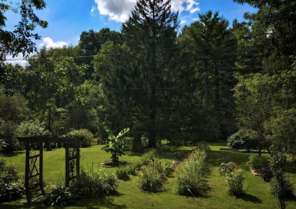 Front yard / Gardens for Guests 