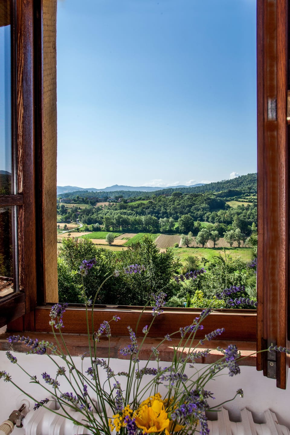 View from bedroom