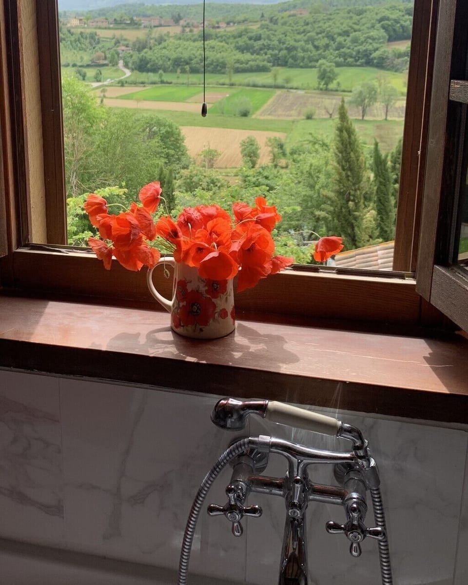 View from one of the bathrooms