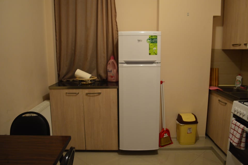 Family Apartment, 2 Bedrooms, Balcony, City View | Private kitchen | Full-size fridge, microwave, oven, stovetop